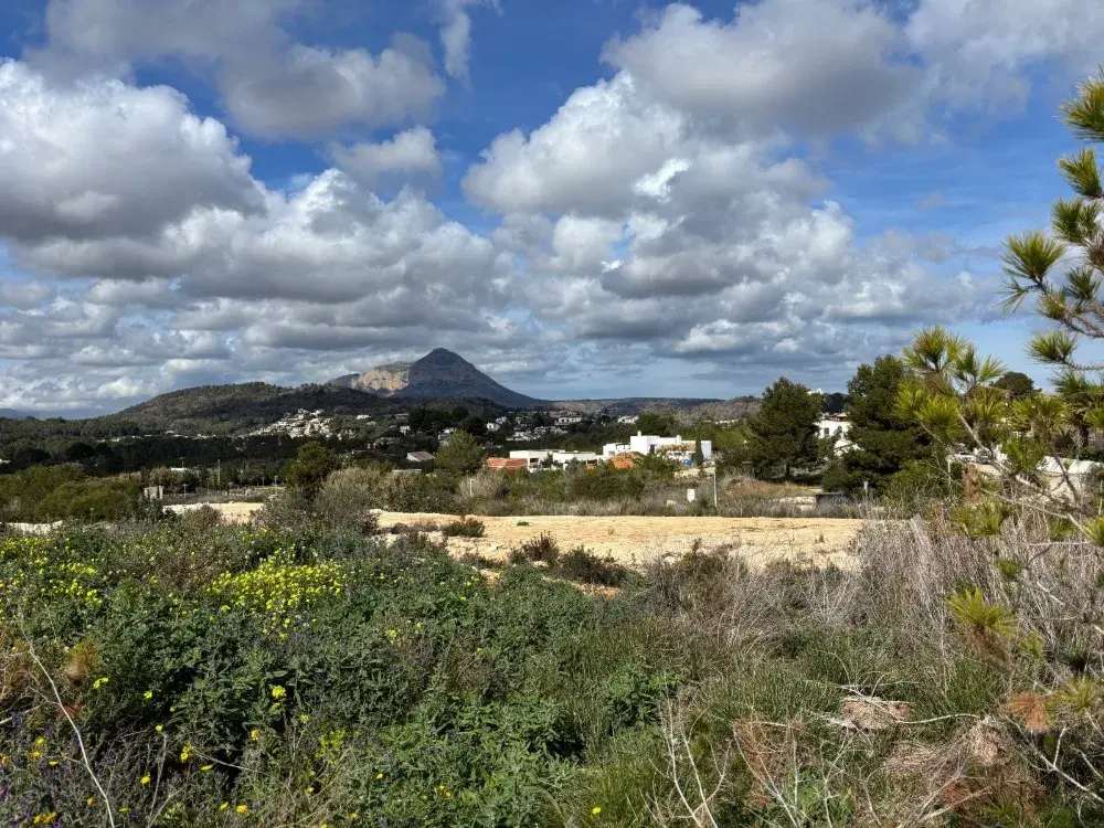 Anteproyecto-Cordero-16