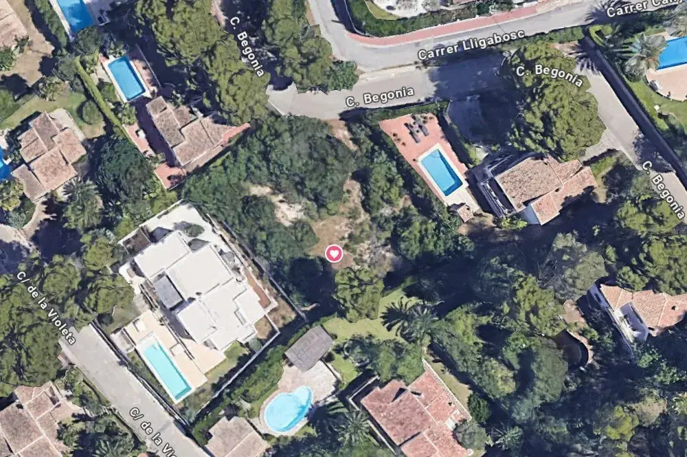 proyecto-begonia21-1